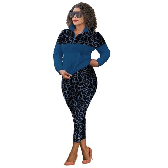 Leopard Print Two Piece Set Women Top Pants Set Lounge Wear Sweatsuits for Women Sportwear Casual Plus Size Tracksuit Women Set